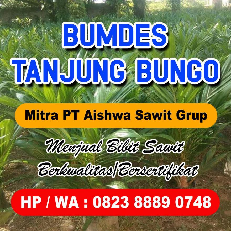 Pembibitan Kelapa Sawit