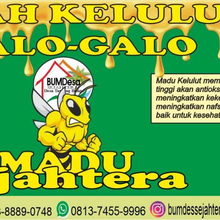 Madu Kelulut